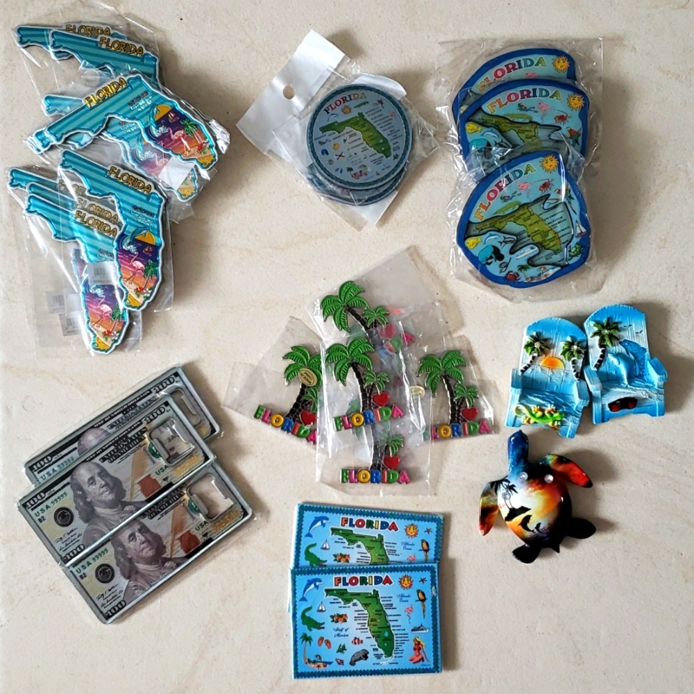 #129-15 🎁 30 Pcs Refrigerator Magnet Decoration Florida.